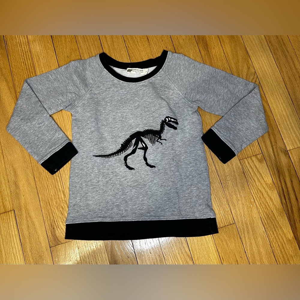Gray Dinosaur Kids Light Sweater